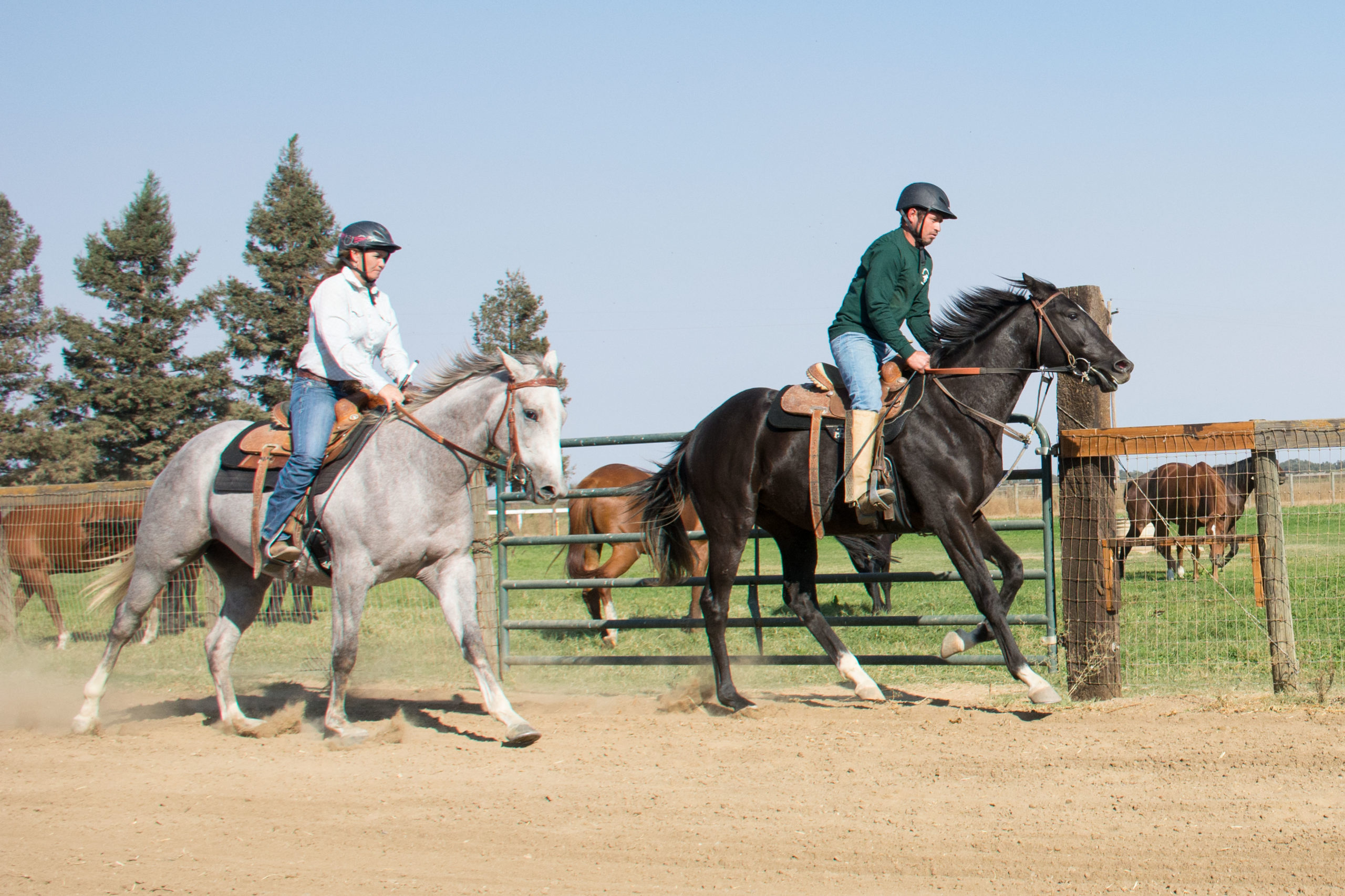 Trainer Mariah Coles and Assistant Trainer Luis Pena at Daehling Ranch Thoroughbreds Elk Grove, California