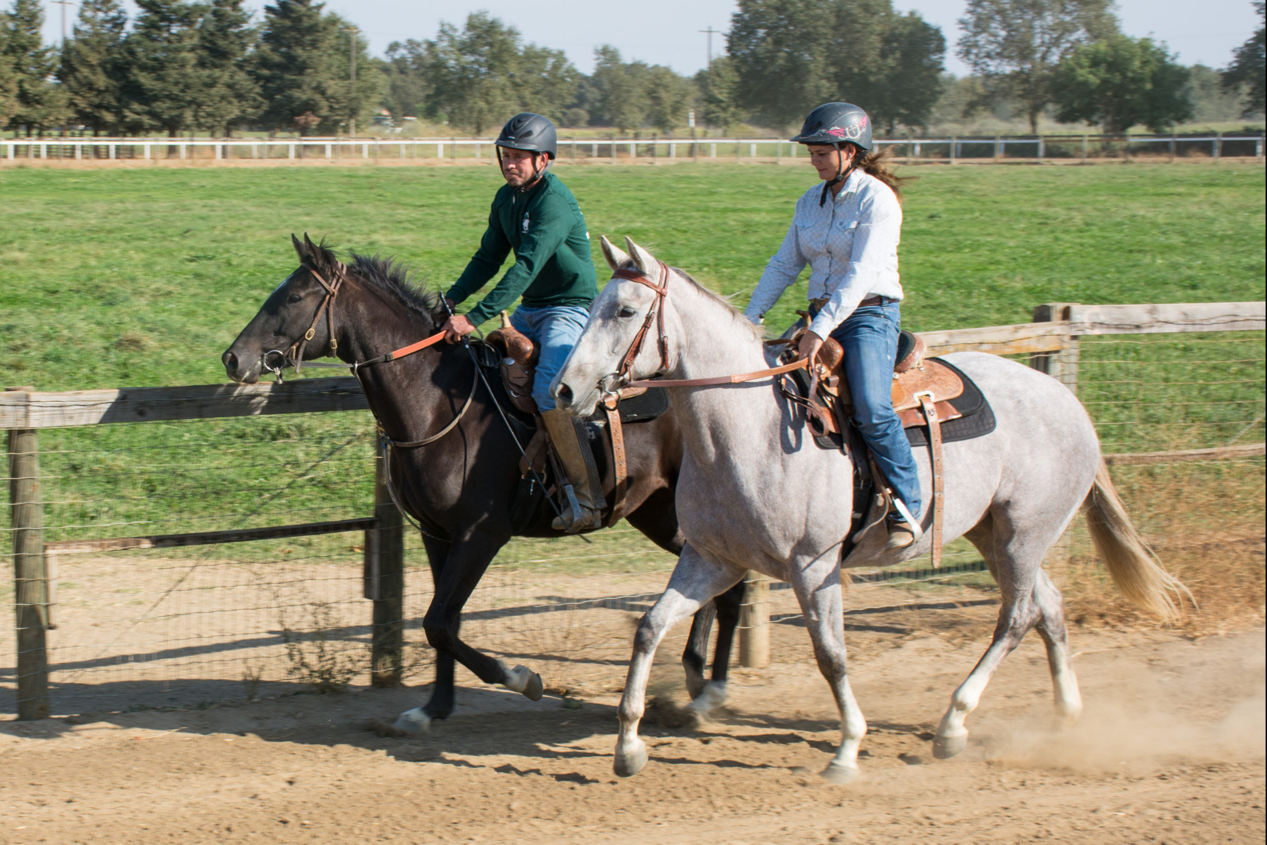 Trainer Mariah Coles and Assistant Trainer Luis Pena at Daehling Ranch Thoroughbreds Elk Grove, California